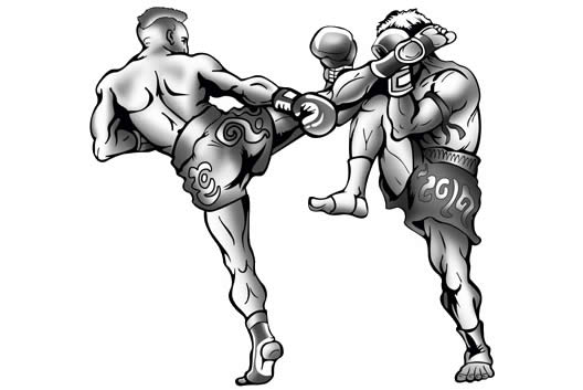 dois pugilistas lutando box ilustram a luta pela html5 entre w3c e whatwg