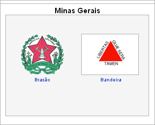 Bandeira e braz�o estado de Minas Gerais