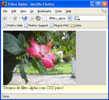 screenshot de uma flor com um texto