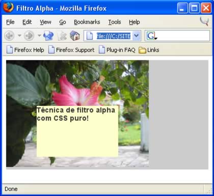 screenshot de uma flor com um texto sobre ela
