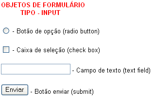 As tags input dos formulários, sem estilização