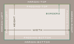 O box model quebrado