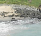 Enfeites da mesa de aniversario